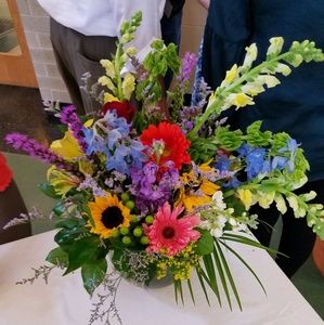 Meet your Posher, Shelley